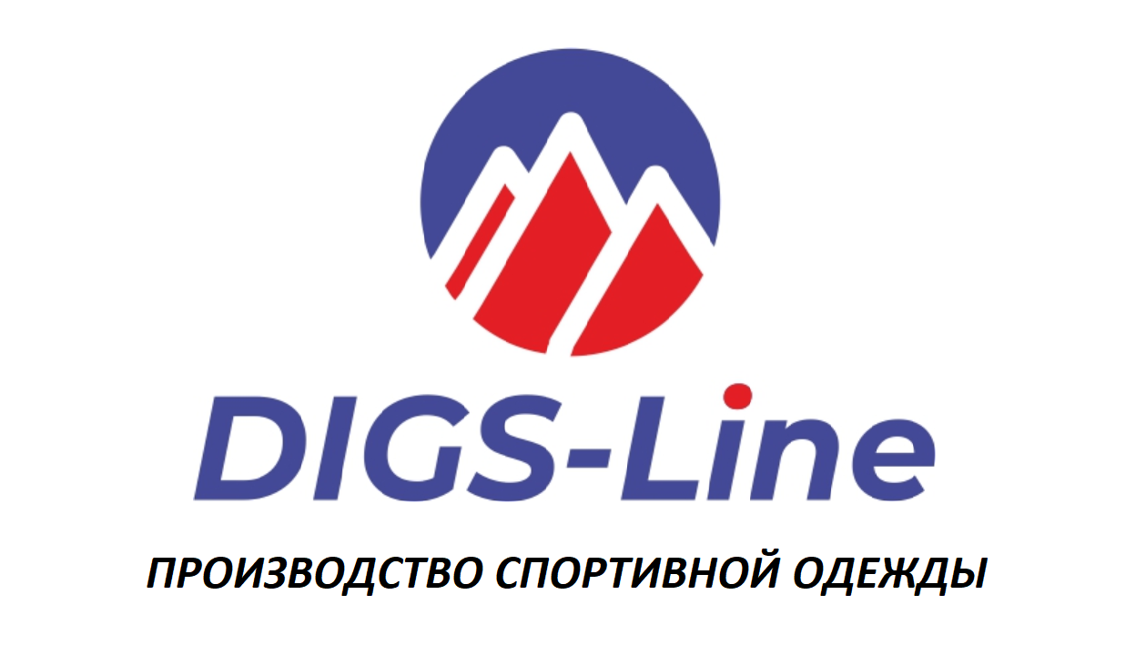 digsl.ru logo